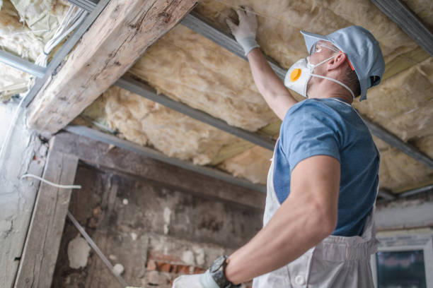 Best Eco-Friendly Insulation in Joseph, OR